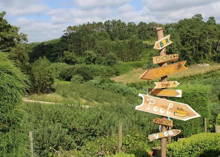 Alojamento de Acomodação e Pequeno-almoço Quinta Da Vida Serena Gaio